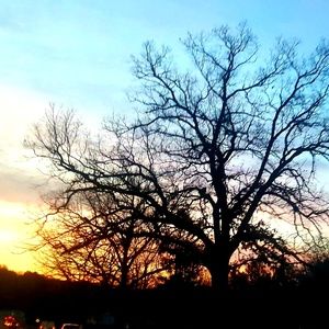 Meet your Posher, Lena